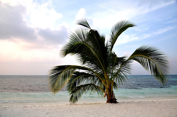 Fototapeta na wymiar Maldives vacation