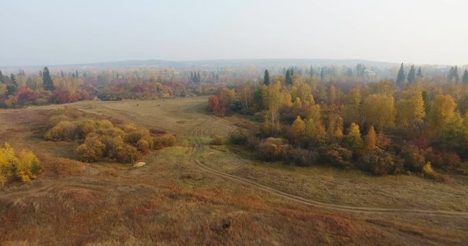 Aerial shot Butiful autumn