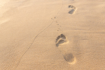 Footprints on sand at the beach in the afternoon