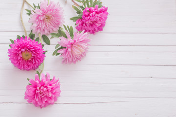 asters on white wooden background