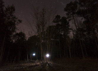 Two flashlights coming from the forest during a search for someone lost