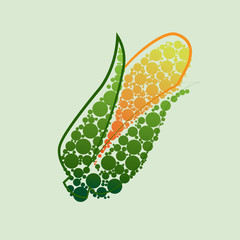 Corn yellow icon food natural illustration organic logo vector organic agriculture field corncob farm