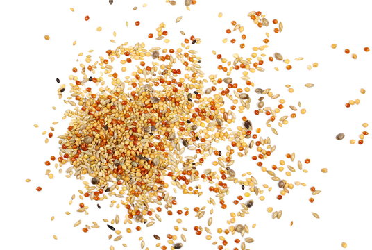 Mixed seeds, millet pile for exotic birds, finch with hemp isolated on white background, top view