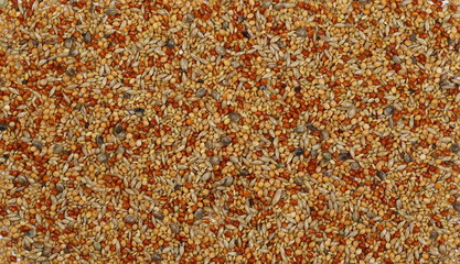 Mixed seeds, millet pile for exotic birds, finch with hemp background and texture, top view