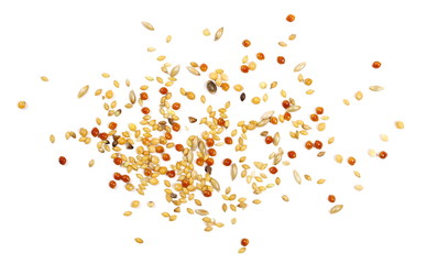 Mixed seeds, millet pile for exotic birds, finch with hemp isolated on white background, top view