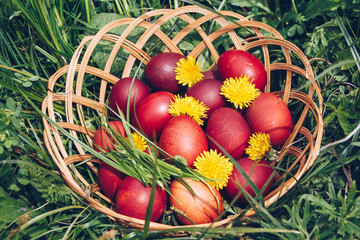 Red easter eggs on the grass with flowers and blowballs, spring holidays concept, naturally colored easter eggs with onion husks. Happy Easter, Christian religious holiday.