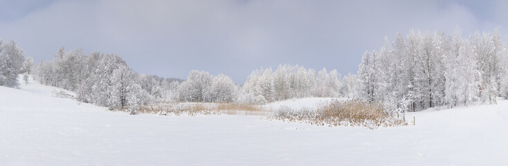 Countryside landscape in a deep winter