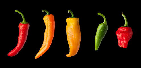 Multi-coloured Peppers in-a-row on a black background