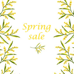 Concept of Spring Sale Flyer with Mimosa