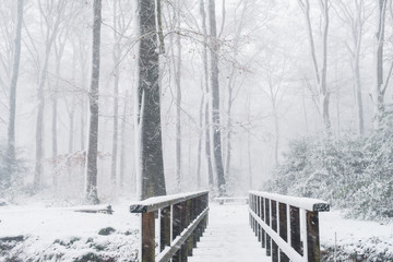 Wooden bridge in snowy forest during snowfall.