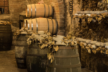 Wine barrels and pecorino cheese (a hard Italian cheeses made from ewe's milk) in a traditional cellar