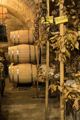 Naklejka premium Wine barrels and pecorino cheese (a hard Italian cheeses made from ewe's milk) in a traditional cellar