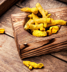 spice root turmeric