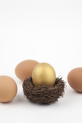 Golden egg on white background