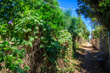 Obraz premium Luruxy Accommodations - Luxury Interiors and Exteriors 