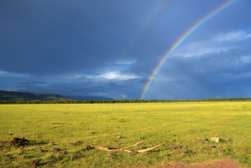 Naklejka premium Rainbow over savannah, Tanzania, Africa