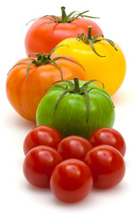 Tomates cerise et anciennes variétés de tomates 