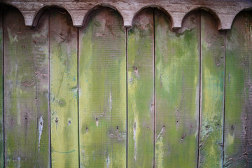 Green wooden old plank texture as background. Closeup