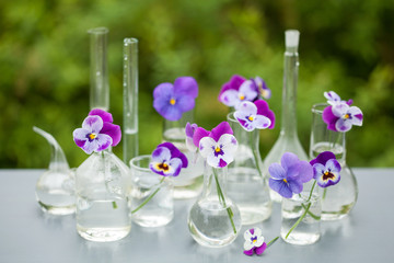 pansy flowers in chemical glassware, table decoration in garden