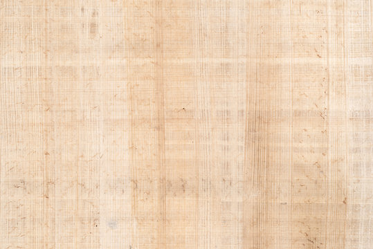 Fine antique papyrus as background, paper texture