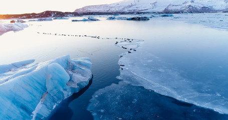 banquise et iceberg © Fly_and_Dive