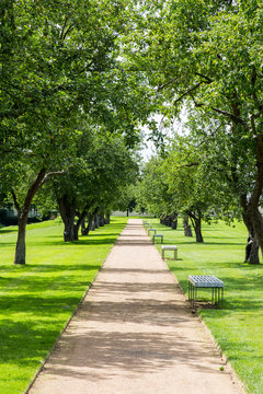 Fototapeta Path through the park