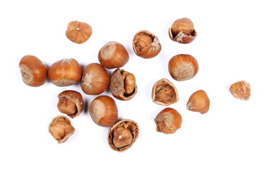 Hazelnuts isolated on white background, top view