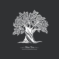 Obraz premium Olive tree. Nature. Vector silhouette illustration Organic food