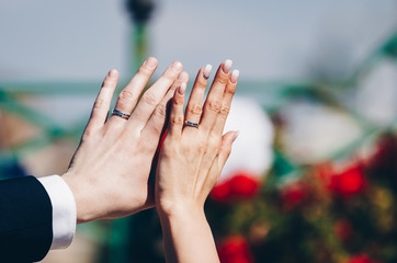 Newly wed couple's hands with wedding rings