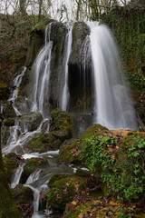 Fototapeta premium Río Altube - 4