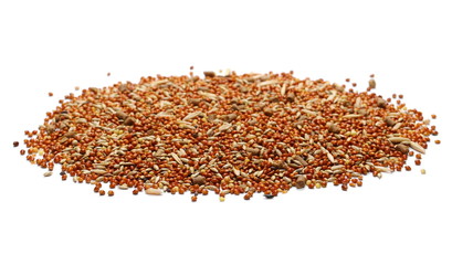 Mixed bird seed, millet pile for parakeets isolated on white background