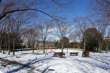 雪の公園