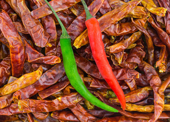 green red fresh chili pod on the background of dry long pepper fruits