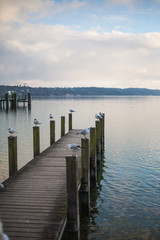 Naklejka premium Starnberger See