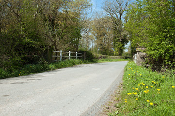 Summertime country road in the English countryside.