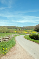 Summertime country road in the English countryside.