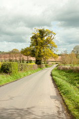 Summertime country road in the English countryside.