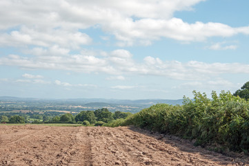 Summertime landscape in the Herefordshire countryside of the United Kingdom.