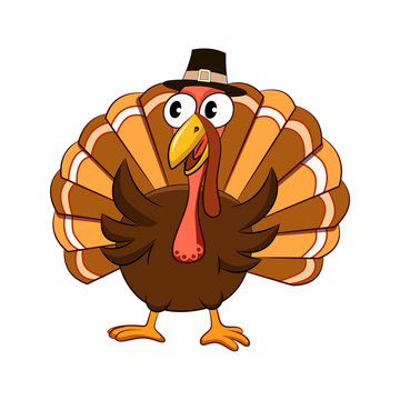 Thnaksgiving Turkey illustration vector isolated on white