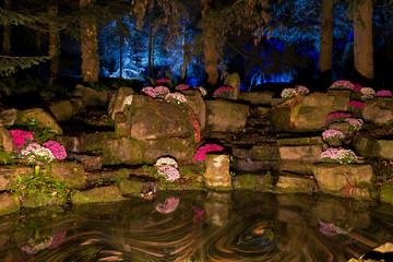 Pond by night