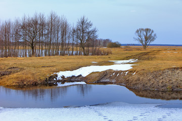 Panoramic view of wetlands and meadows with trees in early spring by the Biebrza river in Poland