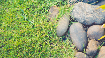 rocky,stone texture and green grass.