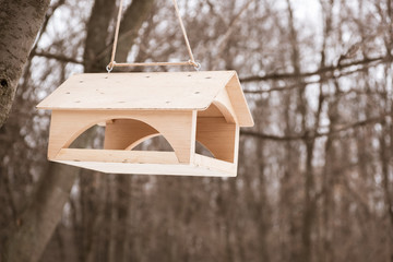 Feeders for birds in the city park