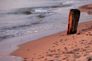 Baltic Sea shore and beach with a dry tree trunk during colorful sunset in Rowy, Pomerania, Poland