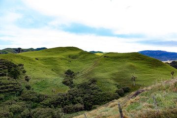 New Zealand south island green hills landscape wharariki beach cape farewell - 189749300