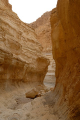 Deep narrow dry gorge in Judea desert, Israel.