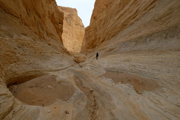Alone hiker traveling in deep dry gorge in Judea desert.