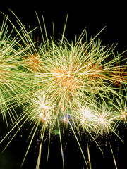 Fireworks Display closeup