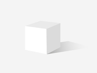 cardboard box mockup
