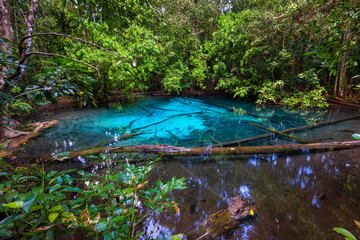 landmark Krabi - blue lake in the jungle, beautiful natural object